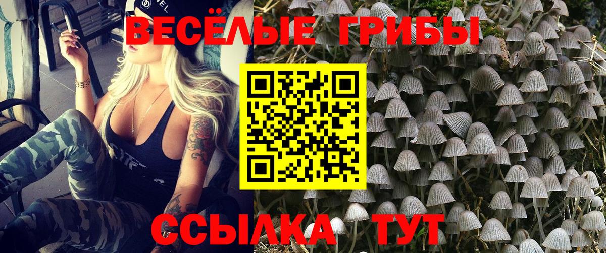 Галлюциногенные грибы мицелий Александров