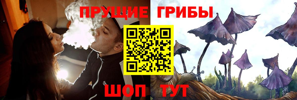 Псилоцибиновые грибы мухоморы  цены   Александров  Галлюциногенные грибы Magic Shrooms  Вход с VPN 