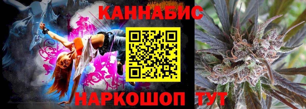Канабис сатива Александров